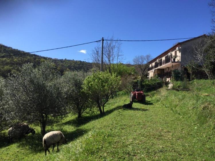 Salara Farmhouse Koper Exterior photo